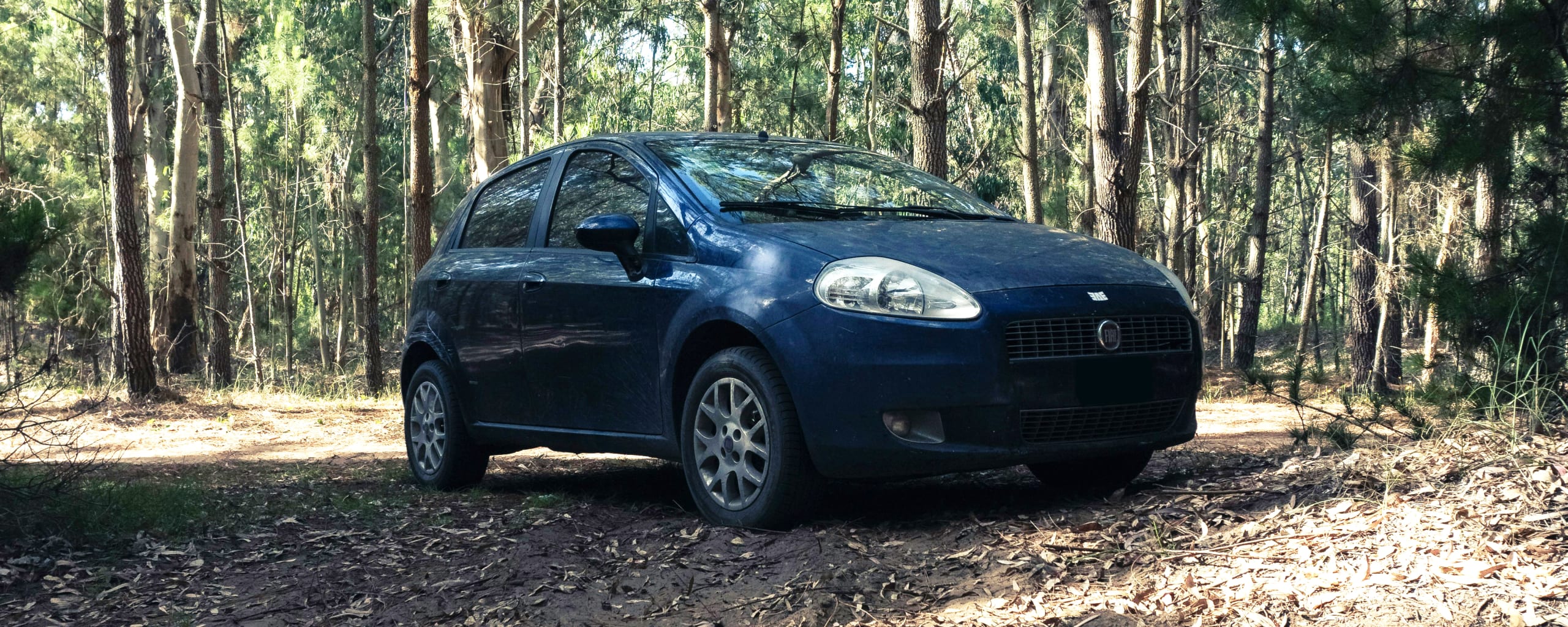 Fiat near Redding, CA